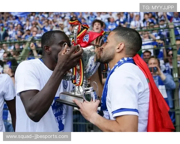 80年代比利时足球风云人物与辉煌成就回顾